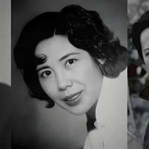 九游游戏-三位离退休“老干部”分别在美国、日本和澳大利亚去世...